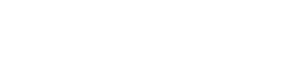 magnific_logo (1)